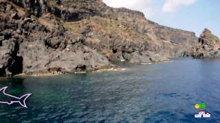 Tonino Pantelleria [upl. by Valene]