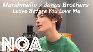 Marshmello x Jonas Brothers  Leave Before You Love Me NOA COVER [upl. by Publias]