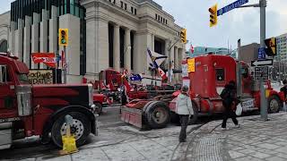 🔴LIVE Ottawa  RAW Footage Freedom Convoy 2022 Day 20  Emergency Act  Wednesday Feb 16 [upl. by Ahsyt260]