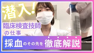 臨床検査技術科潜入！～採血のその先について徹底解説～ [upl. by Doretta]