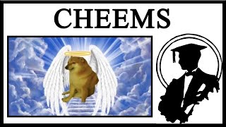 Rest In Peace Cheems The Greatest Dog That Ever Lived [upl. by Donelson]