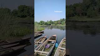 Beas river fishing [upl. by Nyluqcaj]