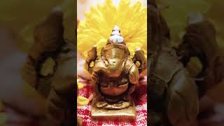 lambodaraya ganapati bappa music festival song ganpatibappa ❤️✨🤞💕🌹 [upl. by Muffin]