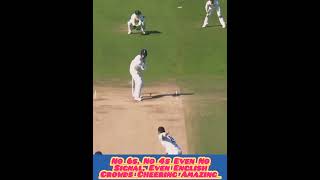 Headingley Test 2019 English Crowds Emotional Movements viratkohli cricketlover ipl [upl. by Regdirb]