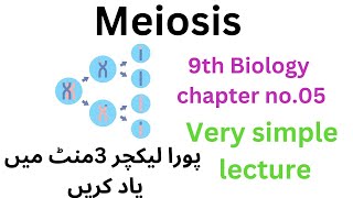 meiosis  9th class biology  9th [upl. by Celene]