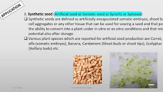 Application of tissue culture Oct 17 2024 [upl. by Popele451]