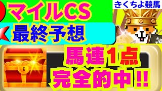 【マイルCS2024】データで3連単ならコノ【激走馬】から勝負！【本命とお宝穴馬】からワイド1点勝負！ [upl. by Labotsirhc]