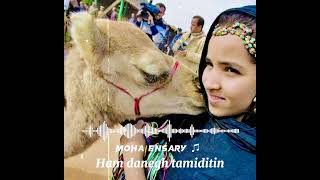 Ham djanegh tamiditin audio music official￼ [upl. by Psyche334]