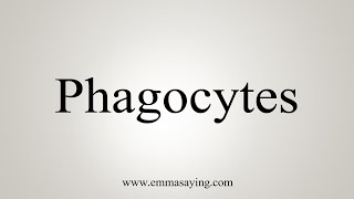 How To Say Phagocytes [upl. by Heinrick845]