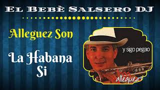 Alleguez Son  La Habana Si Los Van Van 2020 [upl. by Trevor]