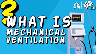 What is Mechanical Ventilation  Ventilators EXPLAINED [upl. by Nonnac]