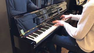 Petrof 118 S1  Emile van Leenen Pianos [upl. by Jehu]