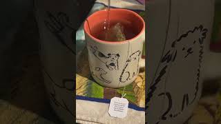 Trying “Ashwagandha” Tea for the first time 🫖✨ mentalhealth wellnesstea likeandsubscribe [upl. by Navert]