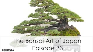 The Bonsai Art of Japan  Episode 33 [upl. by Liu626]