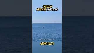 직장인의 온앤오프 비밀 공개 [upl. by Fridell]