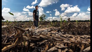 Plantando conflictos agronegocios y disputas por la tierra en la Amazonía peruana [upl. by Lehacim]