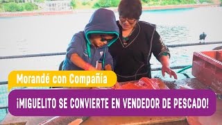 Miguelito se convierte en vendedor de pescado  Morandé con Compañía 2016 [upl. by Aihsit]