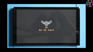 Nintendo Switch OLED ModificationPicoFly [upl. by Coh]