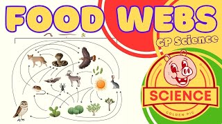 Food Chains  Food Webs  Producers  Consumers  Decomposers  GP Science [upl. by Haven]