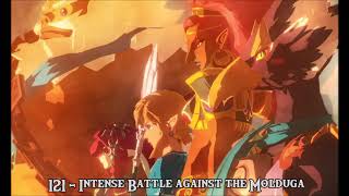 Intense Battle against the Molduga  Full Version   Hyrule Warriors Age of Calamity Soundtrack [upl. by Netsruk]