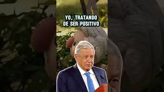 Con toda la actitud amlolujodepresidente [upl. by Ocisnarf]