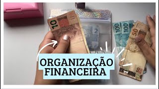 Organização financeira segundo pagamento de setembro  cash stuffing Budget Binder  PTBR [upl. by Leirvag]