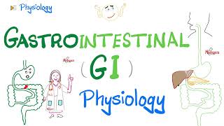 Gastrointestinal GI Physiology…The Basics Introduction  Physiology Series [upl. by Simeon896]