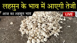 18 November 2024 AAJ KA LAHSUN BHAV  GARLIC RATE TODAY  UJJAIN MANDI LAHSUN BHAV garlicprice [upl. by Skees177]