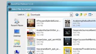 Remove DRM from iTunes Movies amp Music  Simple Tutorial on M4A amp M4V Conversion [upl. by Sowell]