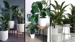 40 Modern Indoor Plants Decor Ideas  Interior Design  Best Houseplants Design Ideas [upl. by Pihc]