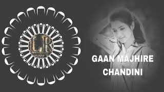 GAON MAJHIRE CHANDINI EDM TRANCE MIX DJ MONSTER [upl. by Aicirtap723]