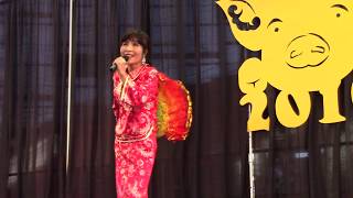 2019 Chinese New Year Gala Beautiful folk song 在那遥远的地方 Ye Ning Feng live [upl. by Dorcia]