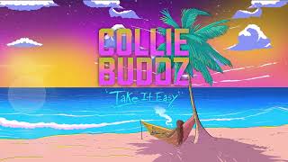 Collie Buddz  Take It Easy Full Album [upl. by Moyer]