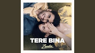 tere bina [upl. by Aneetsirhc]