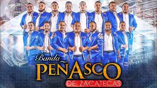 Banda Peñasco de Zacatecas Disco 2017 En Vivo [upl. by Yrbua]