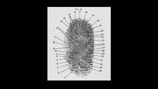 Introduction What are Fingerprints [upl. by Chancelor]