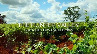 The Hunter Valley  Our Most Dynamic Region  Wine Selectors [upl. by Ck384]