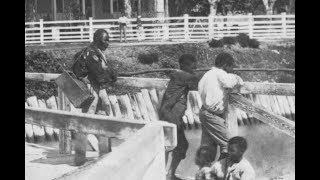 Rare Vintage Photos of Slavery in Antebellum South Carolina From the 1850s1860s [upl. by Anrapa539]