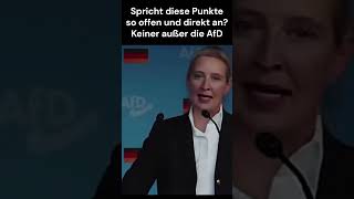 Schulbildung news afd politik afdfraktion deutsch shortvideo europe [upl. by Venable]