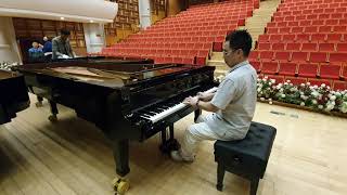 Yamaha CFX Japan Vs Steinway D274 Germnay Vs Kayserburg KA275 China [upl. by Nivag]