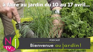 À FAIRE DANS VOTRE JARDIN DU 10 AU 17 AVRIL pensebête du jardinier plantations tailles soins [upl. by Evad]