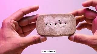 Concrete incense stick holder tutorial video  Amazing DIY ideas with cement [upl. by Adehsar]