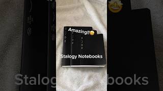 Stalogy 365 Notebooks All 3 Sizes [upl. by Deppy361]