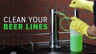 How To Clean Draft Beer Lines [upl. by Hassi]