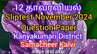 12th Botany tamil medium Slip test question paper november 2024 kanyakumari district samacheer [upl. by Ahern]