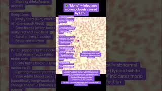 Infectious mononucleosis caused by EBV spreads through saliva and results in Downey cells biology [upl. by Lapham962]