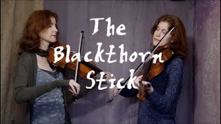 Fiddle Duet  The Blackthorn Stick  Traditional Irish Jig with Harmony Part [upl. by Kyle]