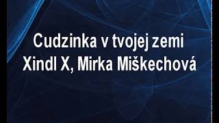 Cudzinka v tvojej zemi  Xindl X Mirka Miškechová Karaoke tip [upl. by Ilysa217]