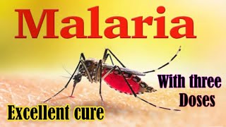 Homeopathic treatment for Malaria  ملیریا کا ہومیوپیتھک علاج [upl. by Danna]