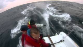 Seascape does Jabuka race 2013 with Beneteau First 27 SE [upl. by Namolos548]